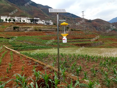 太陽(yáng)能殺蟲(chóng)燈（基礎款）