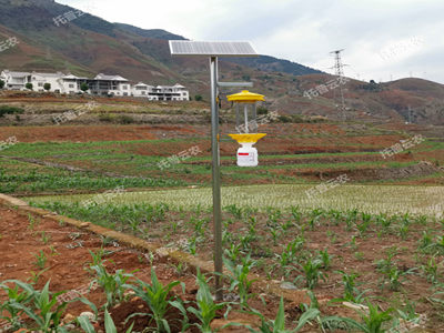 太陽(yáng)能LED殺蟲(chóng)燈